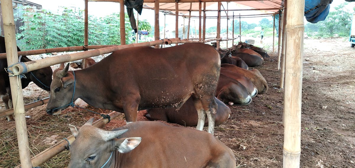 Best AI Productivity Tools in 2025: Our Top 10 Picks