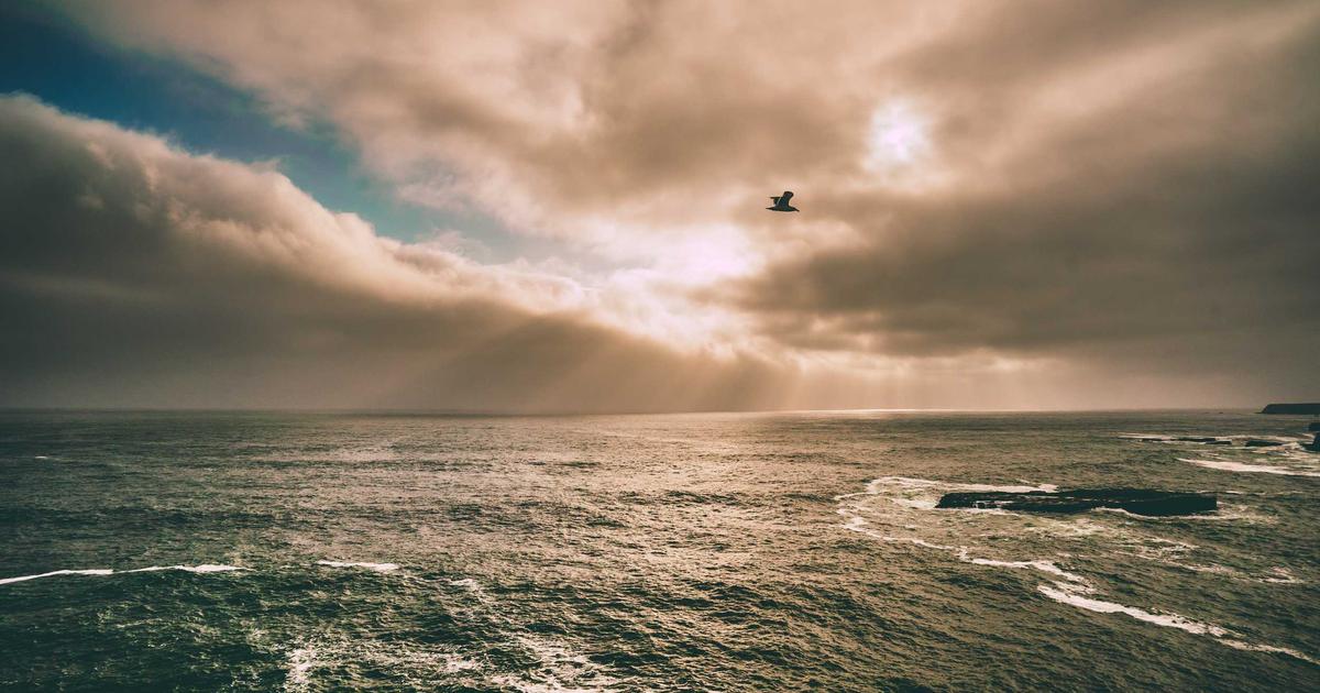 Top 10 Best Free Battle Royale Games for Beginners in 2026