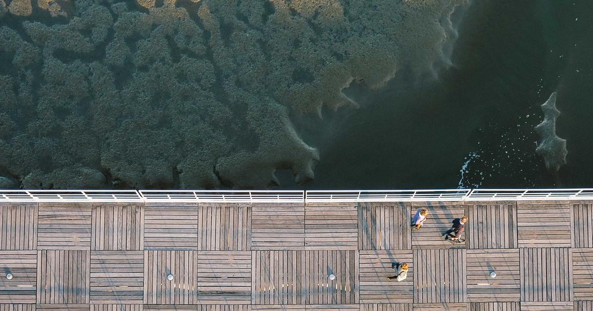 Top 10 Battle Royale Games 2026 – Ultimate Guide