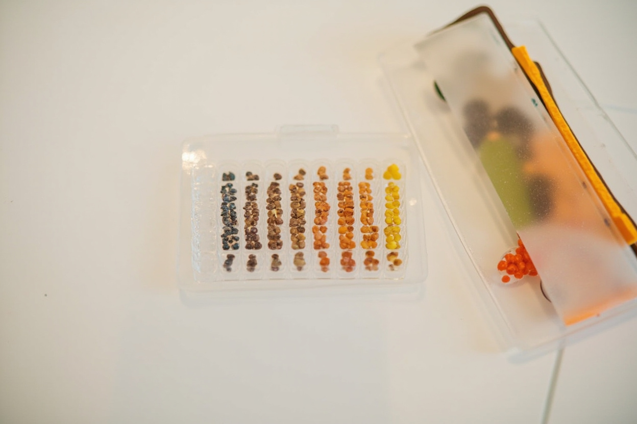Everlywell food sensitivity test kit
